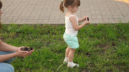 母亲给孩子看松果。小女儿和妈妈在公园的草坪上玩耍，收集球果。这孩子走在绿草上。快乐童年的概念。一个幸福的家庭正带着一个孩子散步。