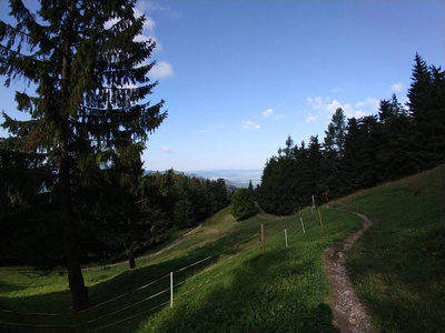 环境 公园 外部 前景 场景 植物区系 季节 十月 早晨