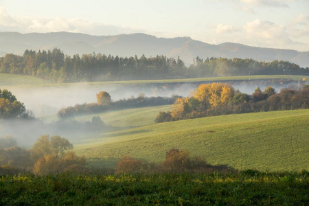 风景 薄雾 朦胧 地平线 自然 农业 生长 领域 草地 平原