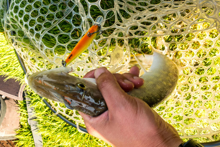 自然 渔夫 天空 铸造 秋天 傍晚 诱饵 池塘 活动 娱乐