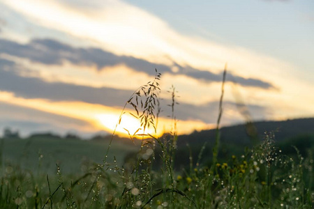 夏天 旅行 颜色 美丽的 日落 山谷 草地 太阳 早晨 乡村
