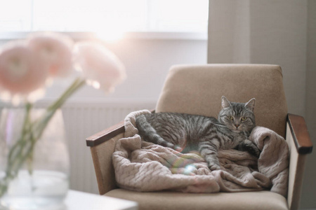 躺在椅子上睡觉图片