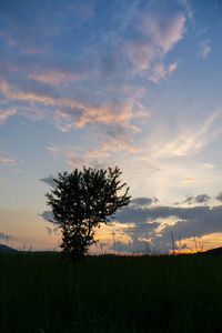 秋天 日落 风景 颜色 黄昏 阳光 天空 早晨 夏天 黎明