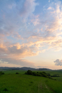 季节 旅行 美丽的 春天 日落 太阳 领域 森林 场景 乡村