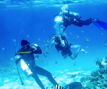 潜水员在水下与珊瑚礁游泳