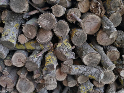 卵石 特写镜头 海滩 纹理 自然 材料 木柴 木材 食物