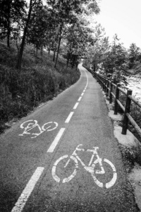 运动 男人 骑自行车 周期 轨道 交通 自然 健康 夏天