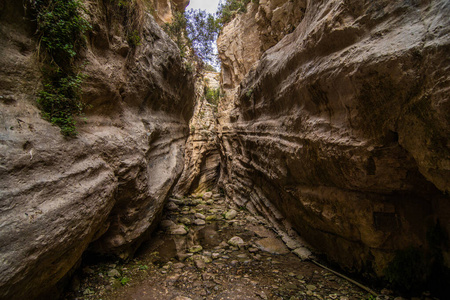 旅行 步行 追踪 阿卡马斯 峡谷 岩石 流动 徒步旅行 夏天