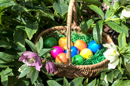 篮子 传统 宗教 鸡蛋 自然 冬天 四月 前进