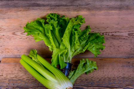 生菜 素食主义者 自然 西芹 植物 洋葱 食物 沙拉 健康