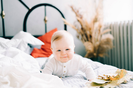 白种人 眼睛 清白 新的 有趣的 婴儿 美丽的 特写镜头