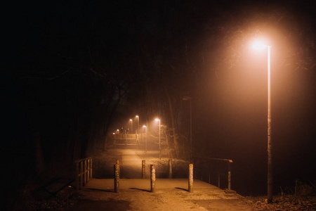 夜色中有雾的小路上有灯光图片