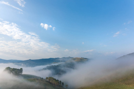 薄雾 场景 美女 天空 春天 美丽的 旅游业 早晨 夏天
