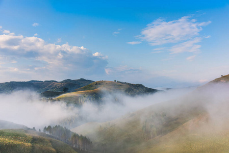 草地 乡村 旅游业 公园 旅行 黎明 美丽的 风景 环境