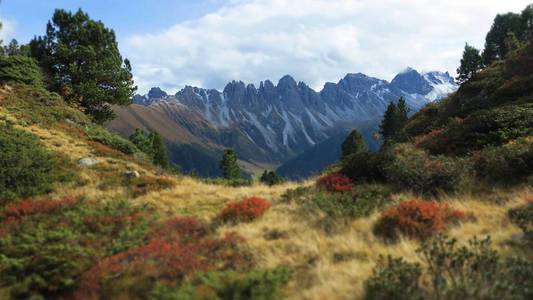 奥地利 阿尔卑斯山 颜色 秋天 自然 泰洛 风景