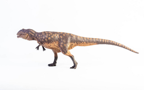 自然 捕食者 恐龙 化石 野兽 食肉动物 侏罗纪 鳞片状