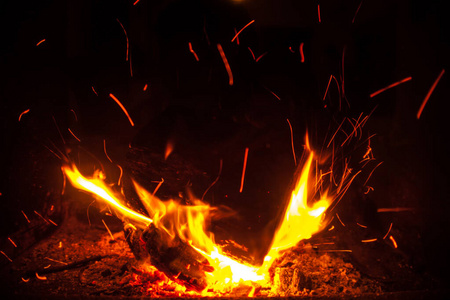 温暖 纹理 气味 炉边 野火 浪漫的 燃料 温暖的 火花