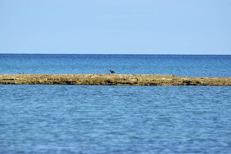 美丽的 地平线 塞浦路斯 旅游业 海洋 海滨 航海 夏天