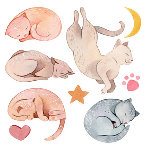 水彩手绘可爱卡通睡猫构图