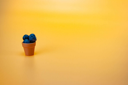 桌子 自然 健康 维生素 水果 蓝莓 甜点 浆果 农业 饮食