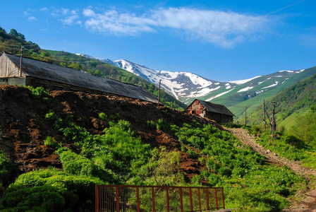 季节 天空 草地 环境 小山 阳光 领域 美丽的 农场 全景