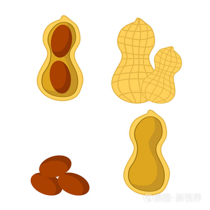 白色背景上孤立的美味花生坚果种子