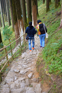 行走 运动 营地 家庭 冒险 闲暇 冬天 徒步旅行 森林