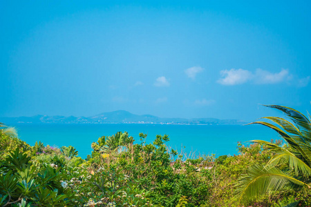 海岸线 旅游业 加勒比 假期 阳光 假日 旅行 夏天 风景