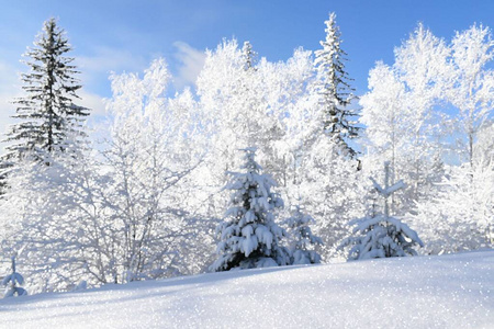 寒冷的 旅行 季节 圣诞节 太阳 天气 风景 降雪 自然