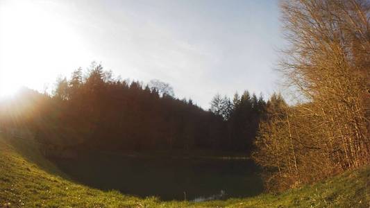 无人机 蓝天 太阳 自然 航空照片 森林
