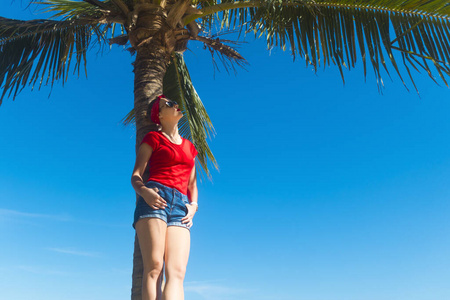 太阳 美丽的 夏天 身体 棕榈树 热的 女人 阳光 复制空间