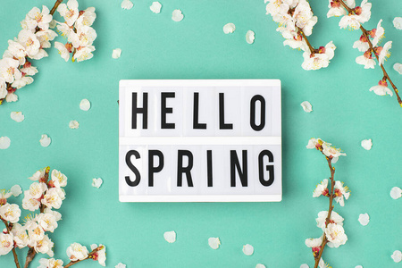 杏树的小枝上有花,灯箱上有文字hello spring在浅绿色的背景上.