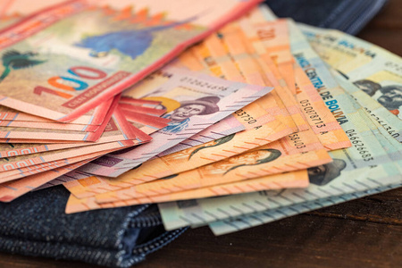 纸张 账单 支付 增加 购物 投资 贷款 玻利维亚 一百