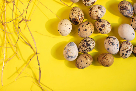 物体 复活节 动物 蛋白质 鹌鹑 鸡蛋 早餐 食物 特写镜头
