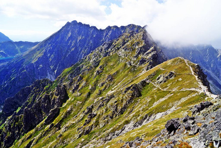 美丽的 森林 塔特拉 夏天 阿尔卑斯山 旅行 岩石 自然