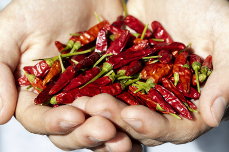 胡椒粉 烹调 烹饪 颜色 辣椒 墨西哥人 饮食 热的 蔬菜