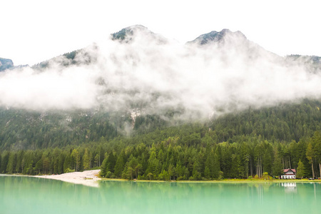 森林 目的地 意大利 风景 反射 旅游业 旅行者 白云石