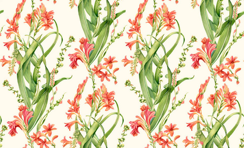 番红花盛开.米色背景的古典复古花卉设计.