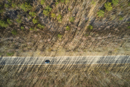 汽车 运输 草地 风景 植物 沥青 旅行 天线 车辆 卡车