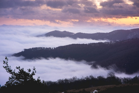 日出时的雾山