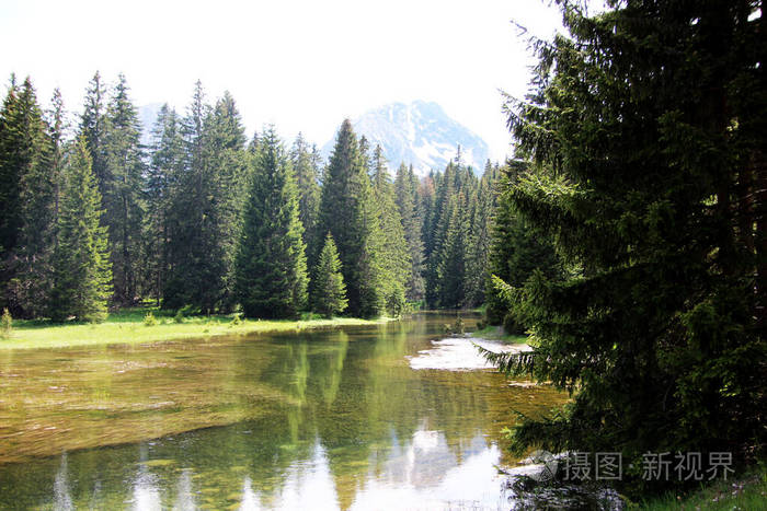 公园 夏天 森林 墙纸 反射 风景 蓝天 自然 季节 夏季