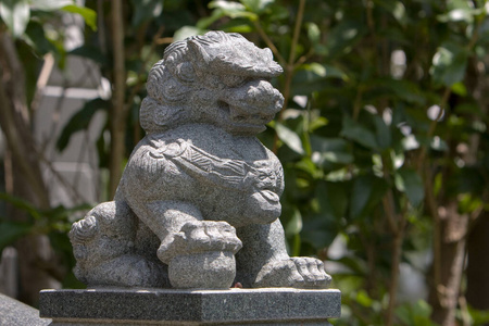 旅行 宗教 旅游业 传统 艺术 建筑学 建筑 寺庙 文化