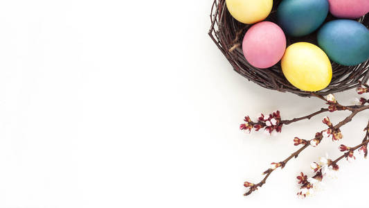 复活节背景，彩蛋和花枝