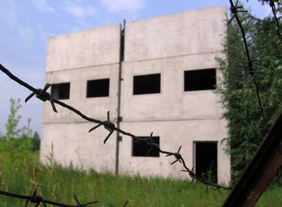 建筑 自然 古老的 屋顶 旅游业 房子 花园 建筑学 木材