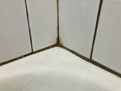 浴室淋浴瓷砖上长出黑色霉菌。