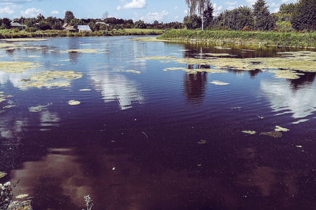 站立 乐趣 水下 轮廓 娱乐 淡水 自然 卷轴 风景 派克