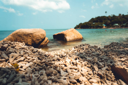 假期 美丽的 假日 旅游业 天堂 暗礁 海滩 海湾 天空