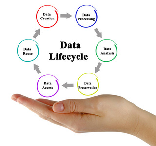 过程 生命周期 接近 专家 信息 图表 咨询 技术 开发商