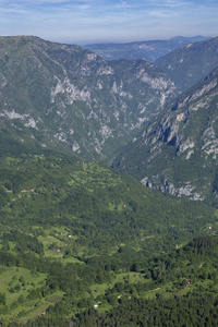 全景图 欧洲 扎布利亚克 小山 自然 森林 林地 美丽的