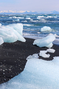 beautiful blue and white  on black volcanic sand on Diamond 